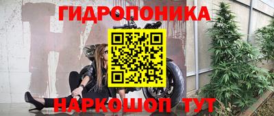 гашик Бугуруслан