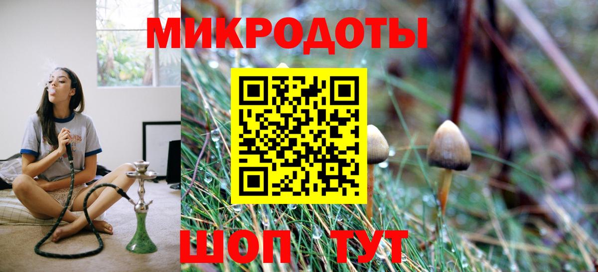 Галлюциногенные грибы Psilocybine cubensis Кострома