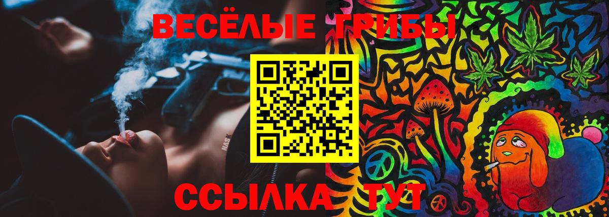 Кострома  Псилоцибиновые грибы ЛСД  Вход с VPN 